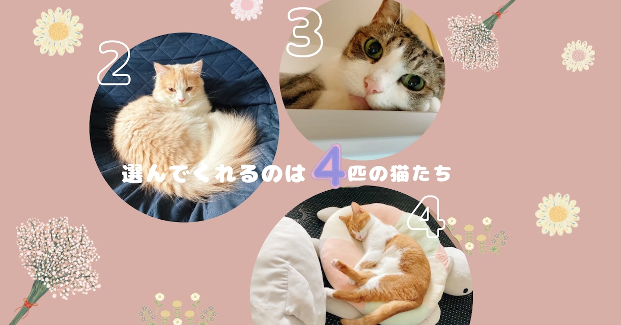 猫の神秘的な直感が迷える恋心を占います 恋するあなたに猫たちがそっと選ぶタロットのメッセージ✴︎ イメージ3