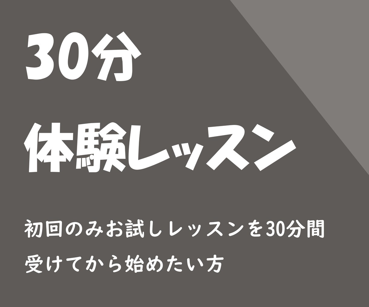 お試しレッスン３０分を１５００円でご提供いたします 目標は英語が好きになることです！ イメージ1