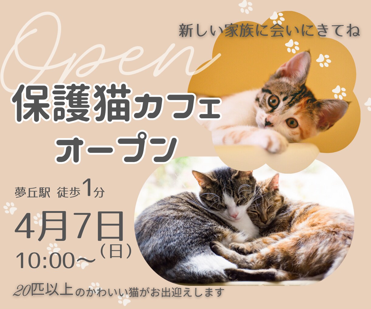 クリックされるバナー・目を引くヘッダーを制作します SNS・Webサイト・広告用デザインを修正無制限で作成します イメージ6