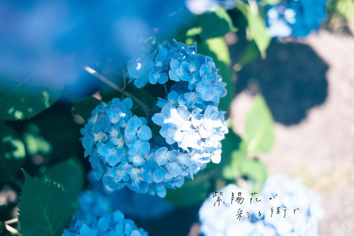 心が動くあったかい文字を、手書きします 写真に文字を添えて、魅力を最大限に引き出します イメージ2
