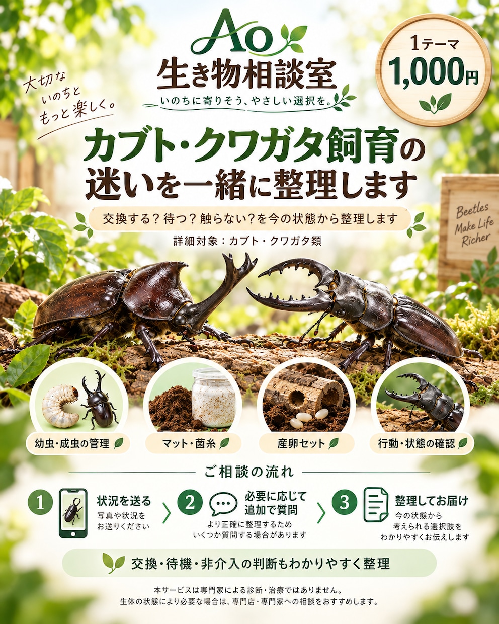 カブトムシ・クワガタの飼育の迷いを整理します 1ケース・1テーマ1,000円｜次の確認事項を整理 イメージ1