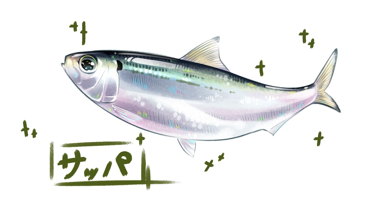 お魚のイラスト描きます 釣り好きの私が描きます！マニアックな種類も対応可能！ イメージ7