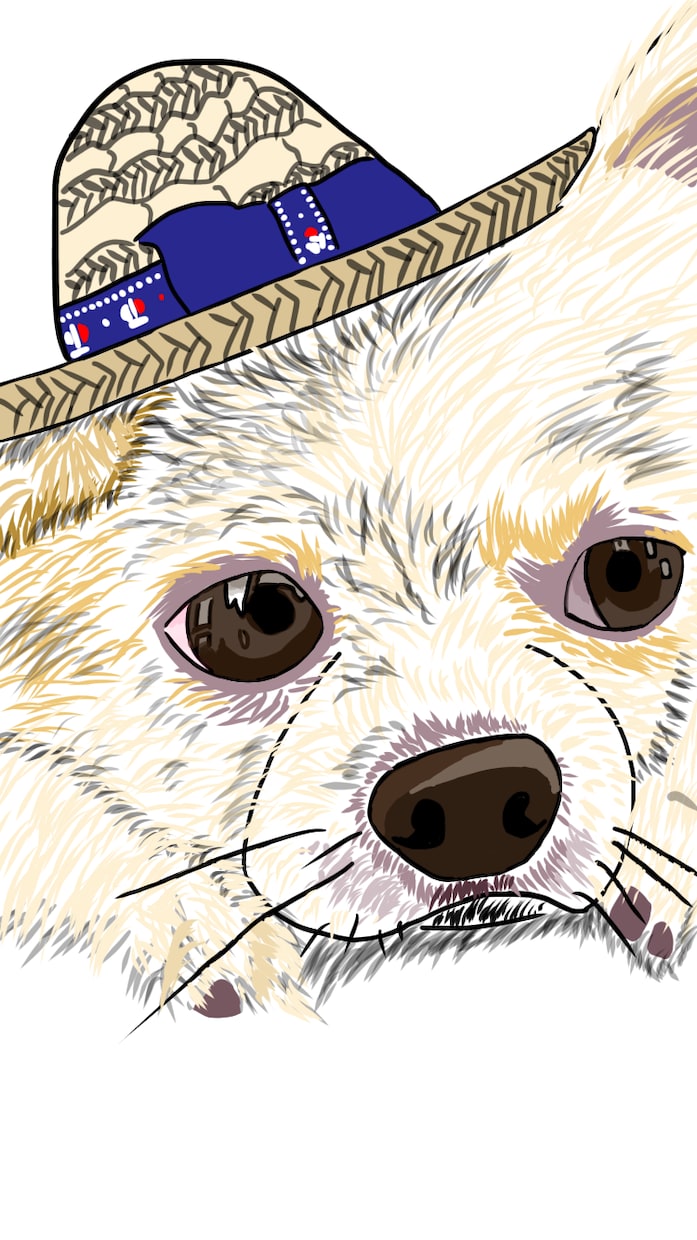 飼っているペットの絵を描きます ちょっとアニメっぽさのある絵や、逆にリアルな絵を描いたり イメージ3