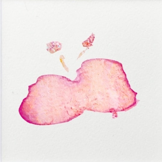 やさしいタッチのオーダー水彩絵を描きます 動物やお好きなモチーフ、世界に一枚のイラストを描きます。 イメージ7