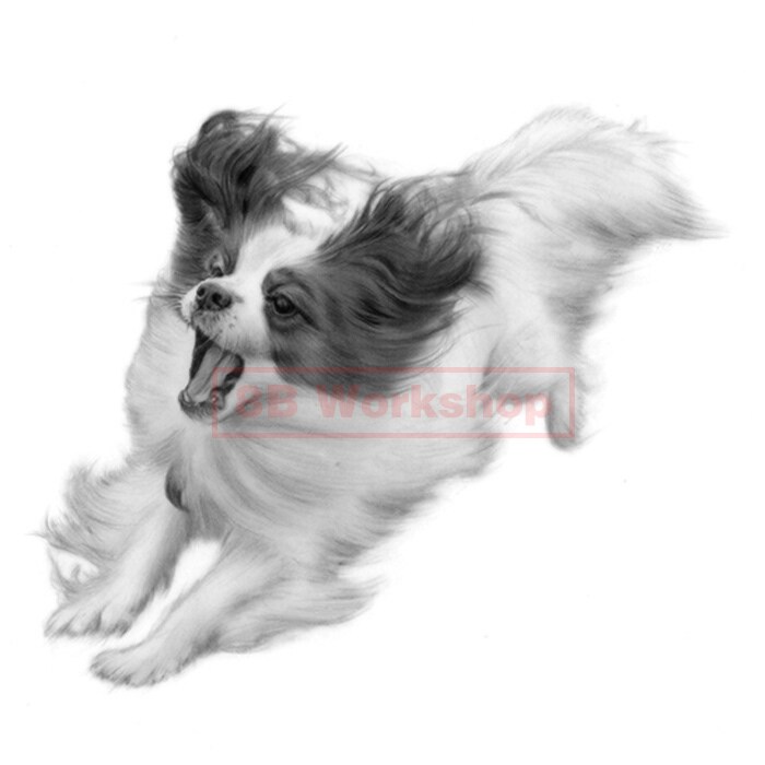 愛犬、愛猫を精細な鉛筆画で再現いたします 実務30年以上プロのイラストレーターが描きあげます イメージ9