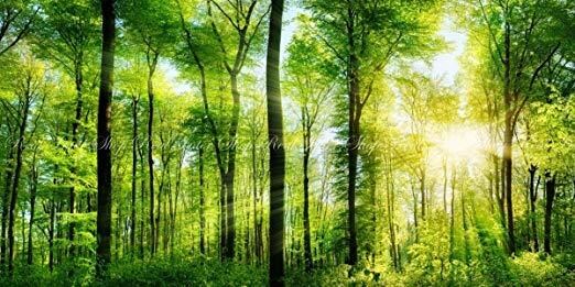 現役カウンセラーがあなたのお悩みを聞きます 悩みで困っている方、友達のように心の話聞いてほしい方はぜひ！ イメージ2