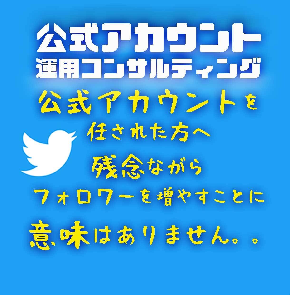 初心者公式Twitterアカウントの相談受けます ファンを増やし定着させるコミュニケーションをコンサルします イメージ1