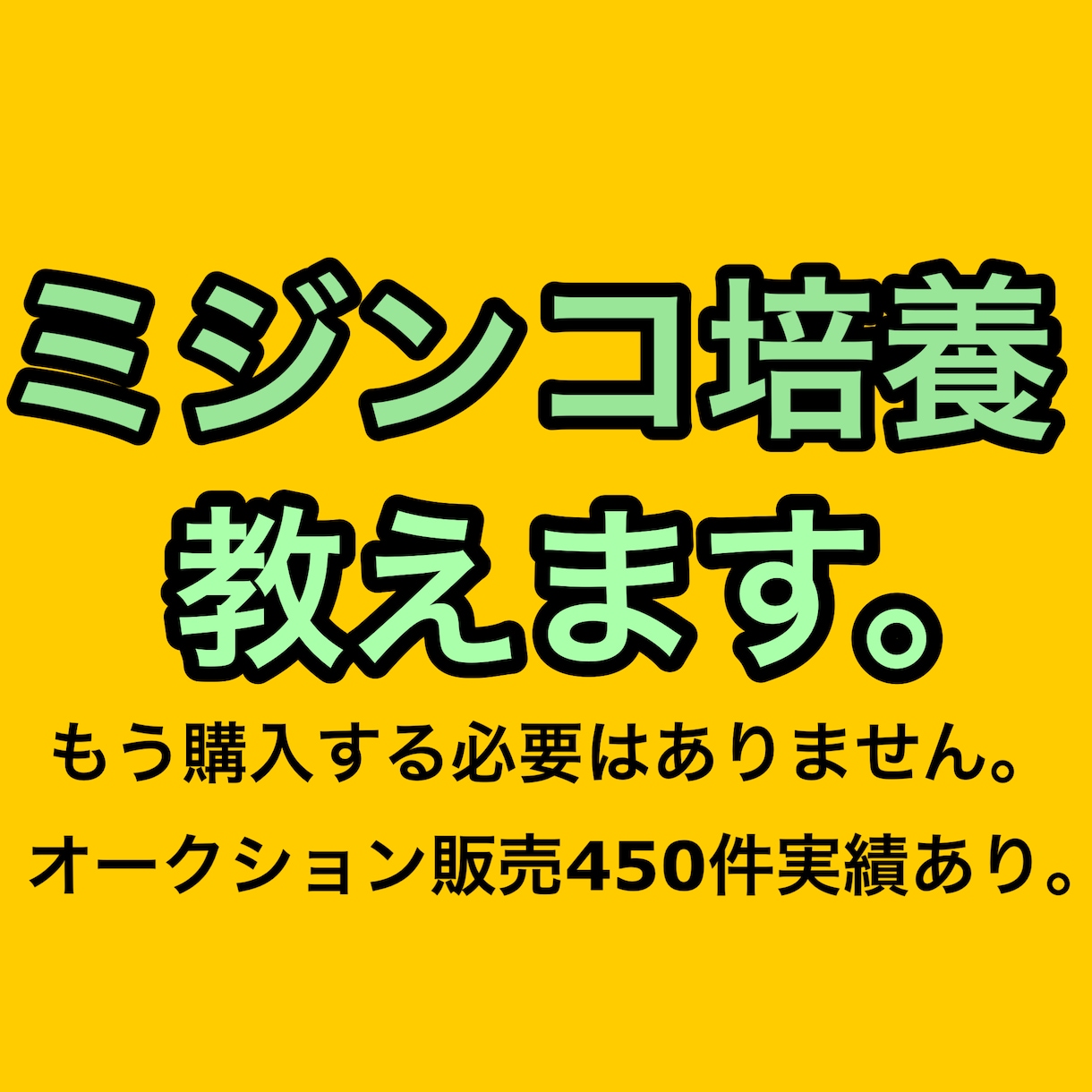 タマミジンコ培養方法教えます もう購入するのは餌だけ！培養失敗を助けます！！ イメージ1