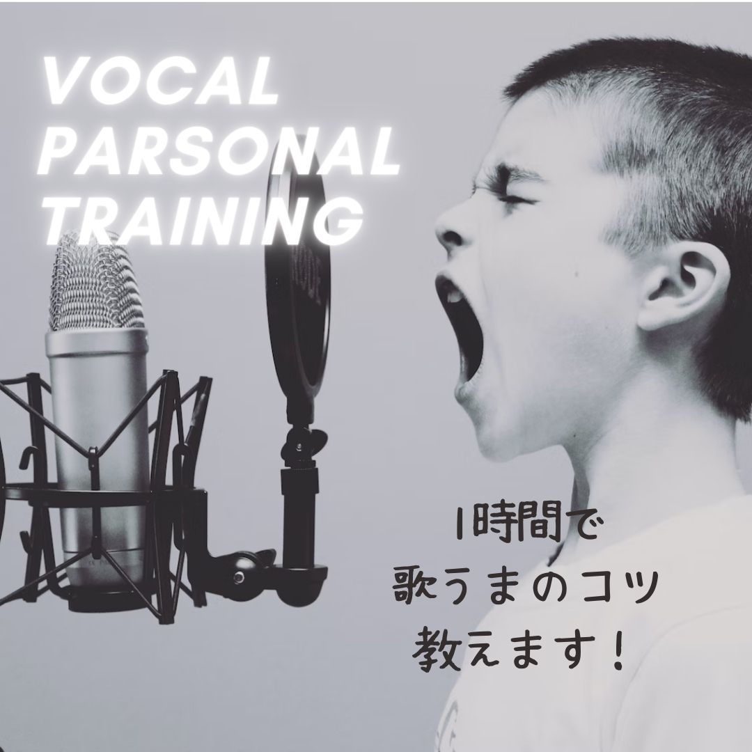 ボイトレ１時間！歌を頑張るあなたを応援します 歌がもっと好きになる！自分の声とじっくり向き合う1時間。 イメージ2