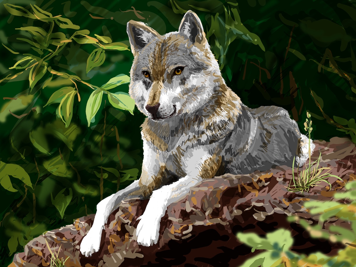 動物イラストを一つ一つ丁寧に描き上げます 自分や身近な人のペットの可愛いイラストが欲しい方へ イメージ8