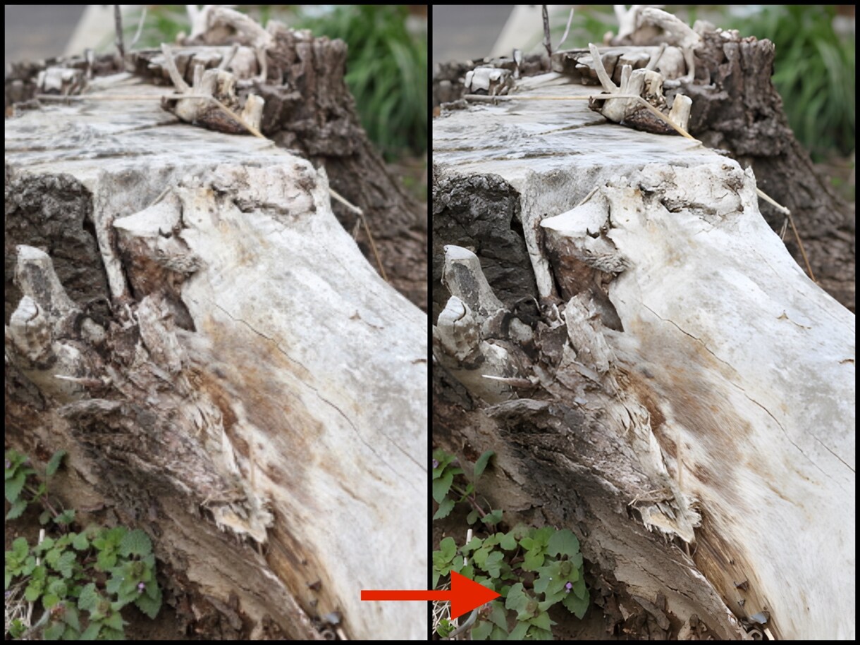 小さい画像を4倍の高解像度に変換します 600ピクセルなら2400ピクセルに！写真を高解像化します。 イメージ4