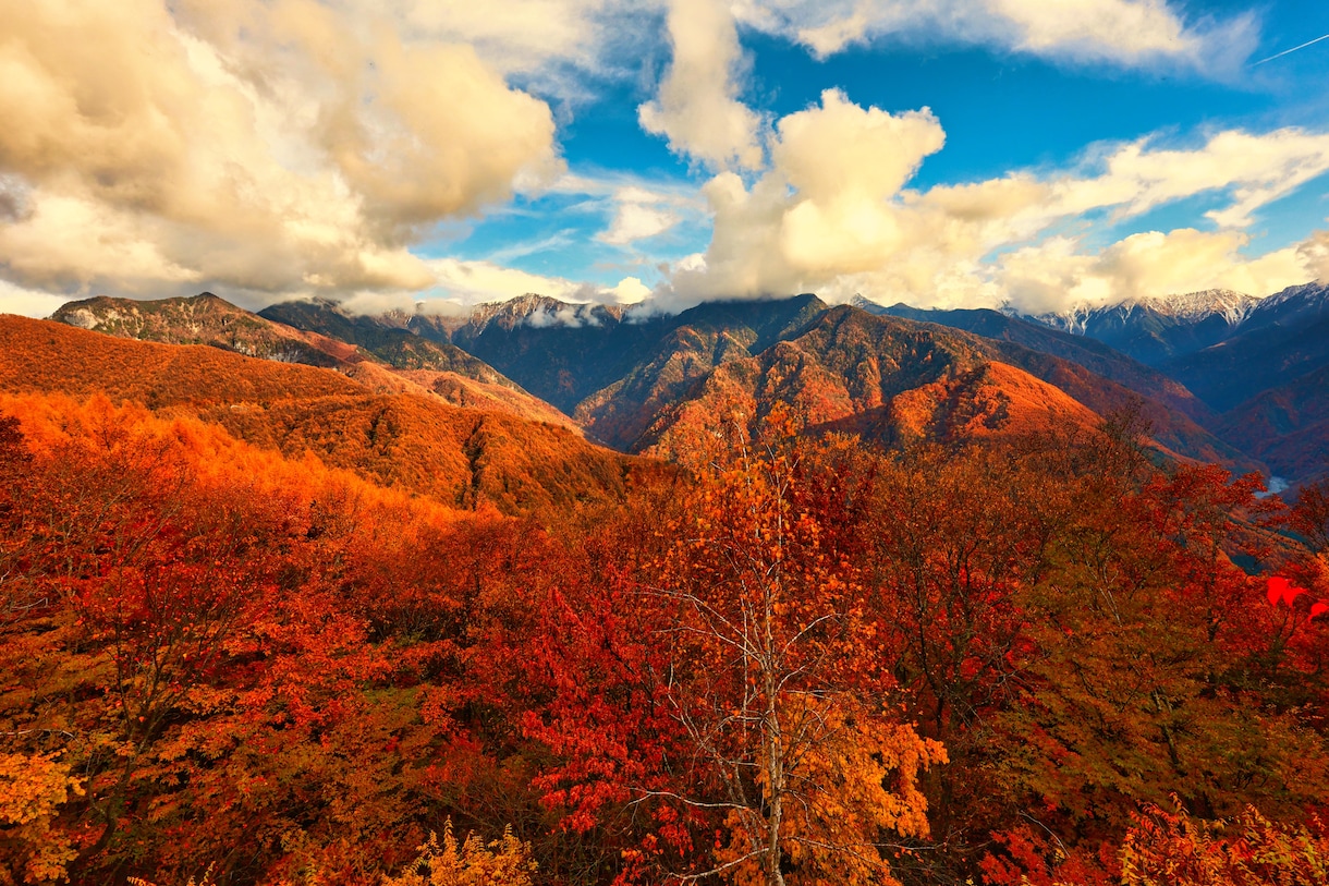 広大な自然や風景など癒される写真を提供します 高画質、高品質な風景写真など癒される写真でごさいます。 イメージ7