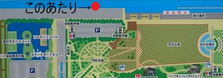 横須賀うみかぜ公園の海中動画(魚影あり)を売ります うみかぜ公園で釣りをしている人で海中の様子を見たいあなた イメージ1