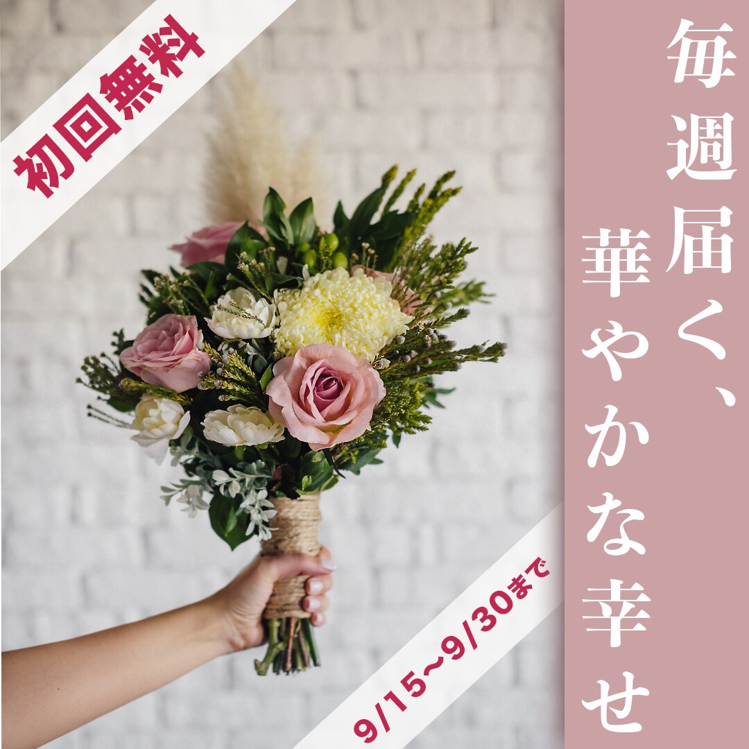 SNS・広告画像製作します 丁寧なヒアリングでん？と目を惹く画像を提供します イメージ5