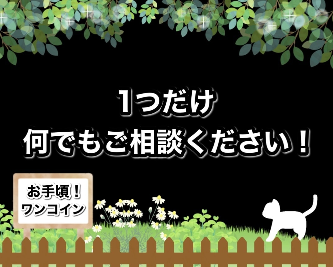 ワンコインで1つだけ、どんな質問でも確実に答えます 恋愛・仕事・人生・家族・ペットなど、どんなことでもOK！ イメージ1