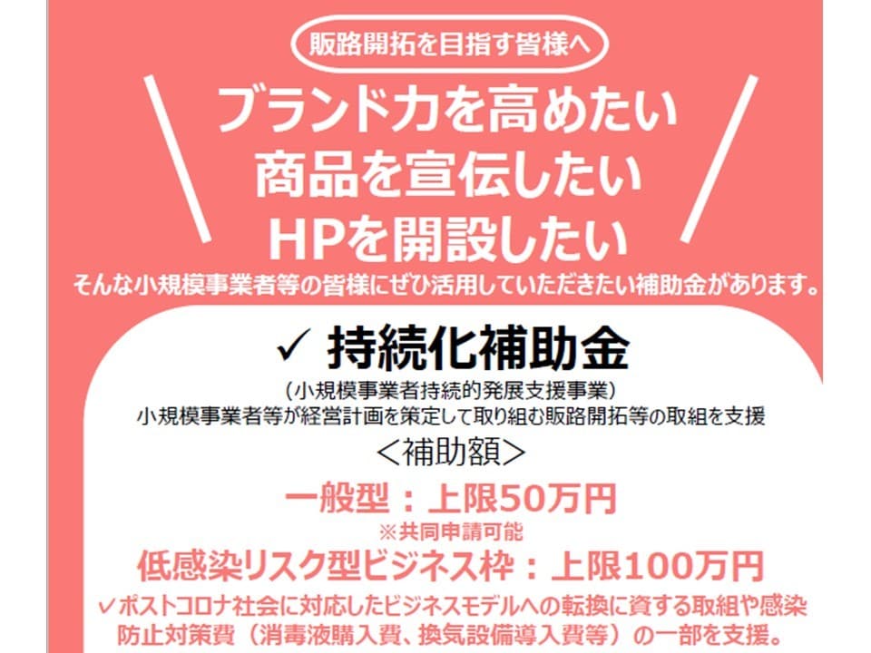 小規模企業者持続化補助金の申請書作成サポートします 小さくても大きな一歩を　中小企業診断士&MBAが申請サポート イメージ2