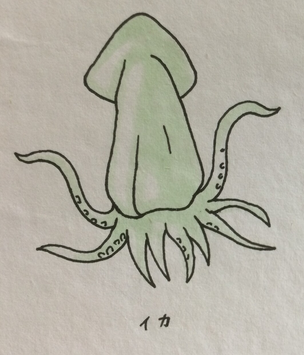 チラシやパンフレットのイラストを描きます ポップをモチーフとしたイラストを描きます！ イメージ7