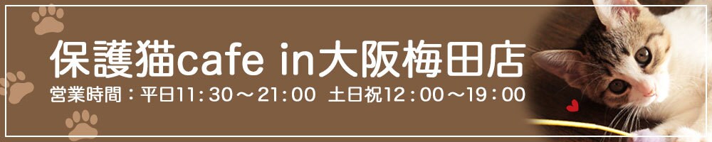 高品質なバナー・ヘッダーを制作します オリジナルデザインの画像を丁寧にご提供致します！ イメージ9