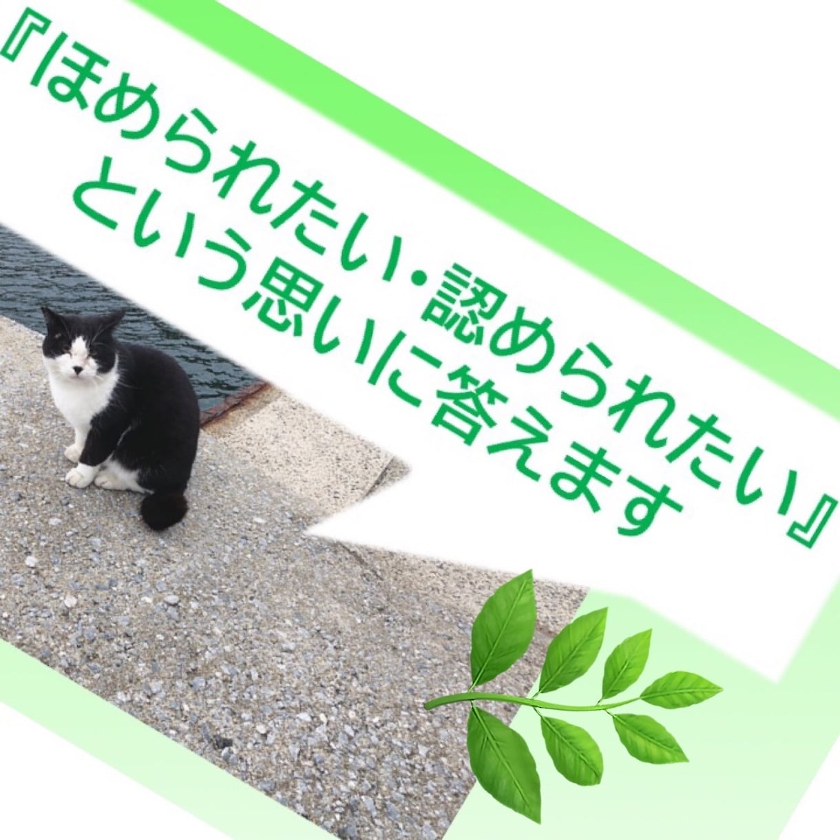 ほめられたい・認められたいという思いに答えます 精神保健福祉士のリフレ―ミングによって自己肯定感を導きます イメージ2