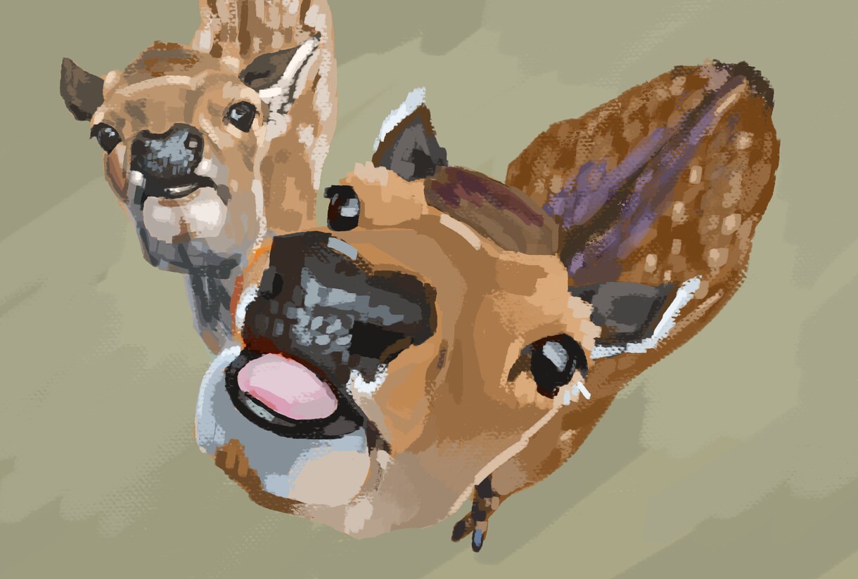 あなたのペットの絵を描きます 犬、猫、鳥、魚、虫、は虫類、ハムスターどんなペットでも！ イメージ5