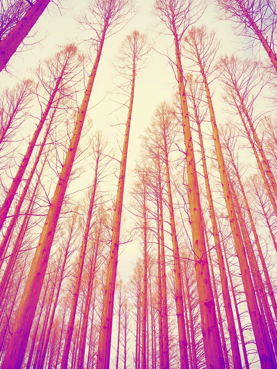 写真撮ります オリジナリティ溢れる構図が得意です。 イメージ5