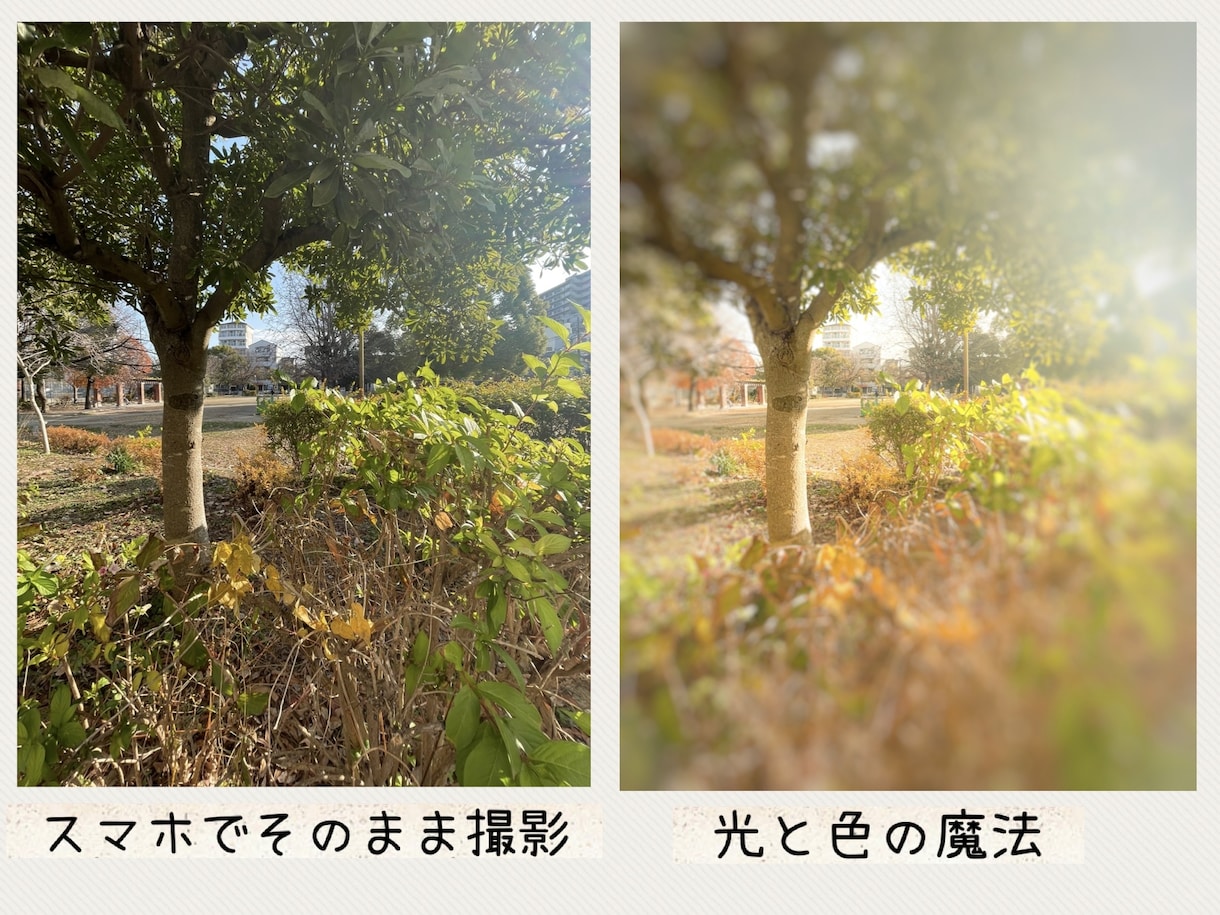 スマホ写真をSNS映えするアートに仕上げます 光と色を引き出すレタッチで、写真を作品に変えます。 イメージ10