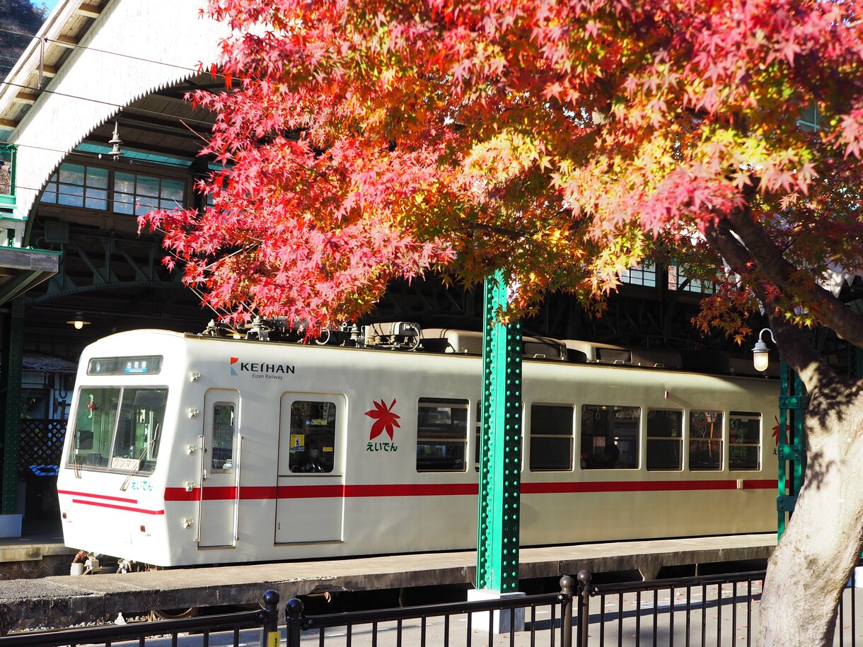 桜、紅葉など京都の動画、写真、レポート代行します 京都の気になるお店、場所確認代行　まずはなんでもご相談 イメージ4