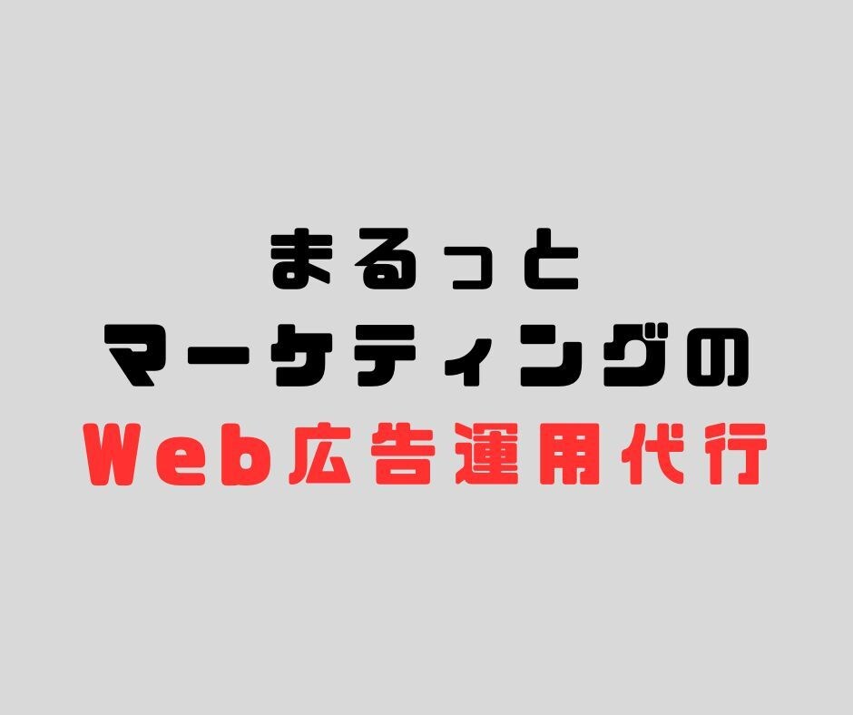 11月迄・破格でご提案～Web広告運用代行します HPへ良質なユーザーをアクセスさせ、目標CVを獲得します イメージ1