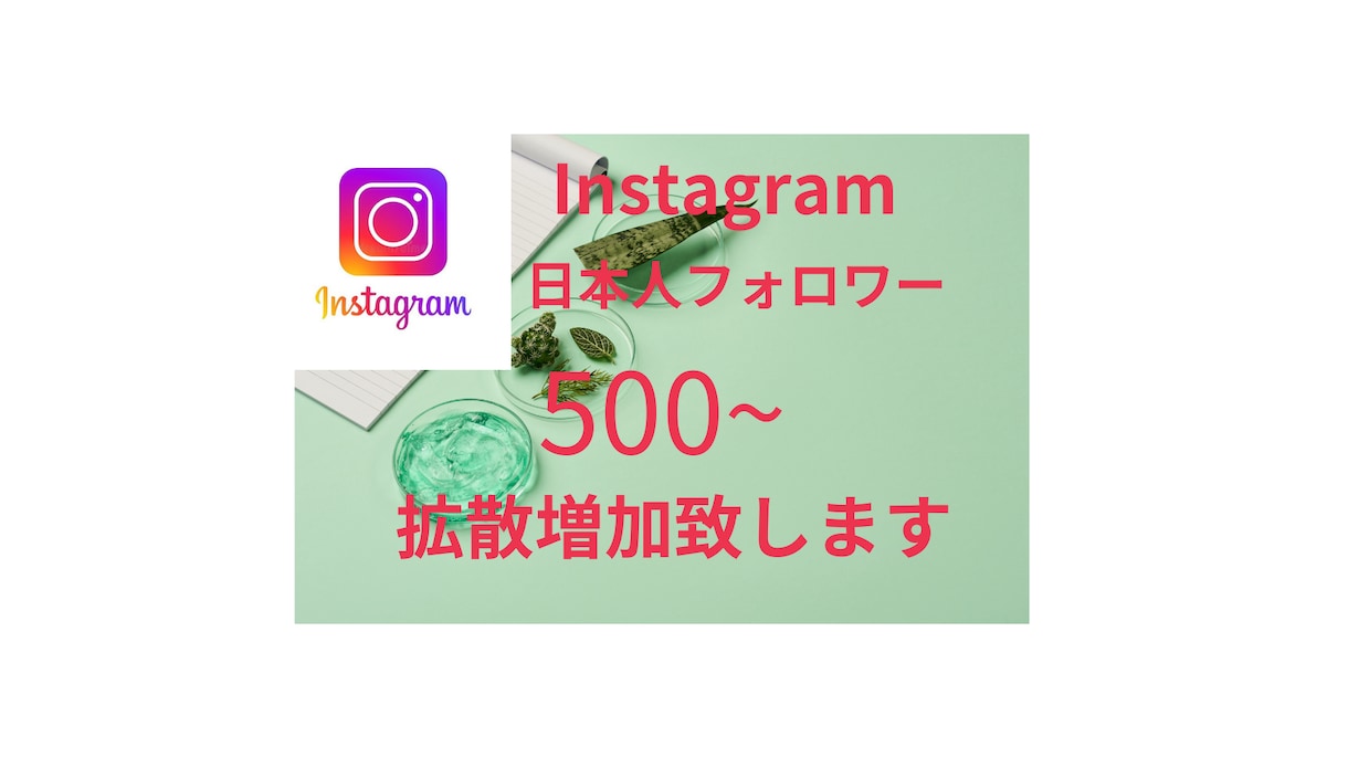 日本人Instagramフォロワー拡散増加します 日本人Instagramフォロワー増やせます イメージ1