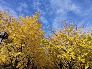 うつ病、摂食、仕事、恋愛も♪何でも聞きます あなたの心をふわっと軽くします♪ イメージ1