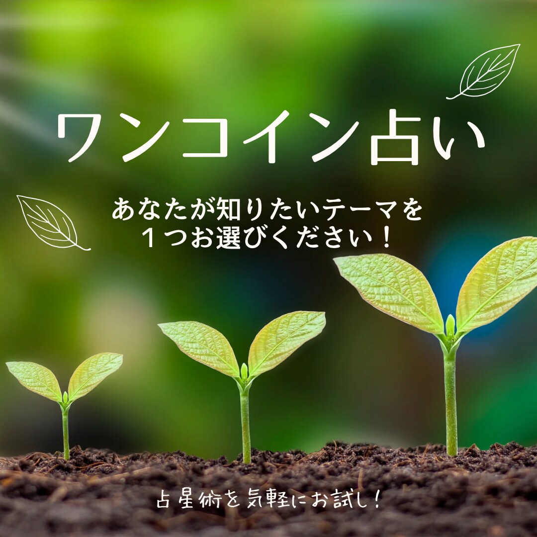 占星術お試し！お好きなテーマで占います ワンコインで仕事・恋愛・子育てなどの悩み解決のお手伝い◎ イメージ1
