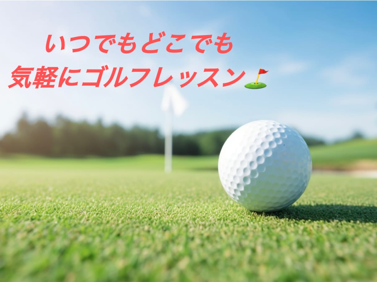 現役ゴルフコーチがあなたの練習をサポートします 一人一人のお悩みやスイングにあった練習方法をご提案します。 イメージ1