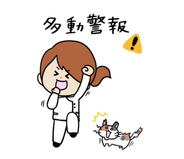 発達障害かも？どう関わったらいい？などお答えします ２つの国家資格保持者が、あなたのお悩みに真摯に向き合います イメージ5