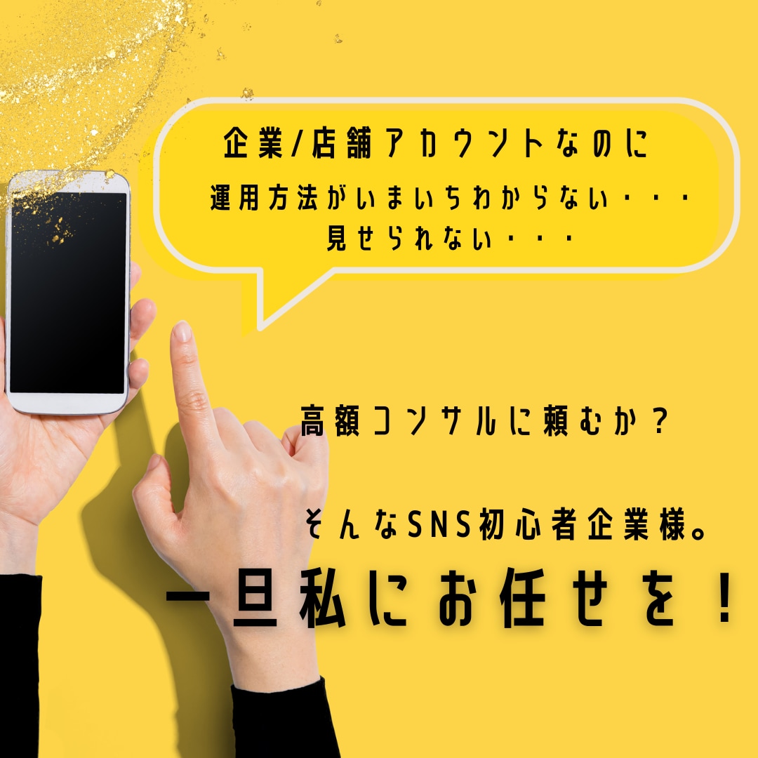 SNS【初心者企業様】の運用お手伝いをいたします 企業・店舗アカウントなのに見せられない・・・はお任せください イメージ1