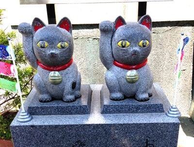夢占い☆タロットあなただけのメッセージお伝えします 見た夢がどんなメッセージがあるかが気になる方へ☆ イメージ1