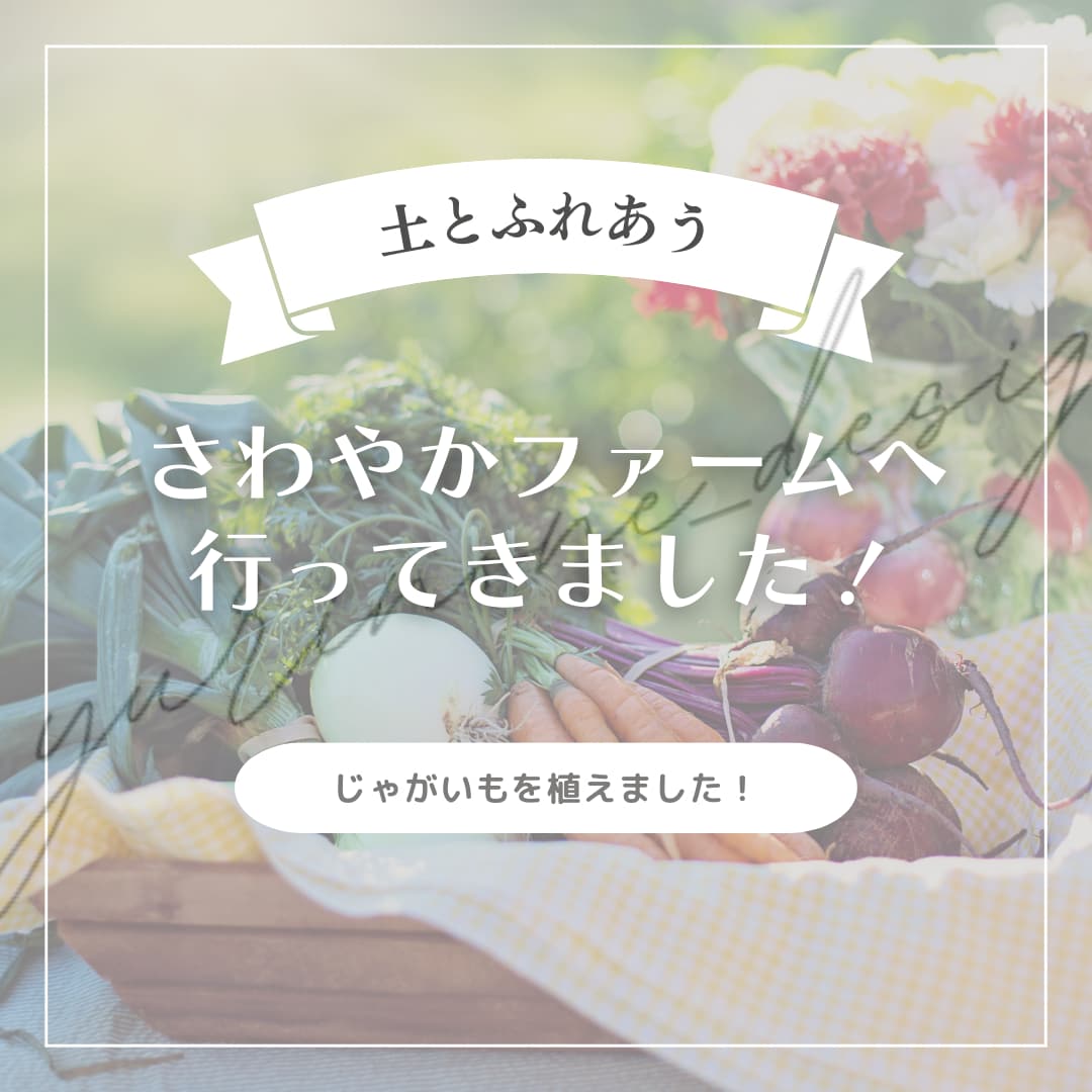 CanvaでInstagram投稿画像お作りします 1枚500円！注文は2枚〜お願いします◎ イメージ3