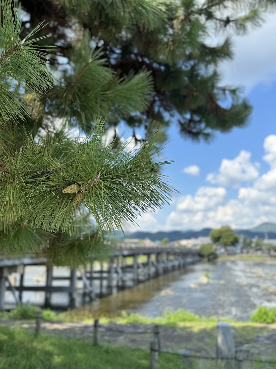 SNSがバズる画像を提供します お洒落な風景写真でバズを作ろう！ イメージ2