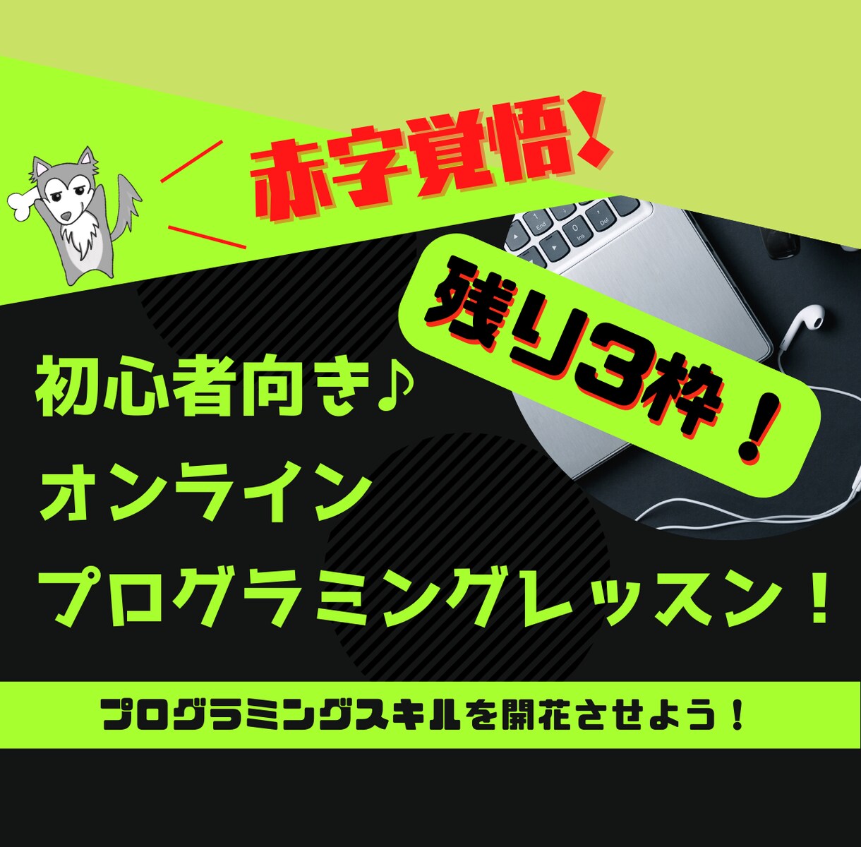 初心者向けにプログラミングレッスンをします マンツーマン指導で１からWEBサイト作成まで安価に提供します イメージ1