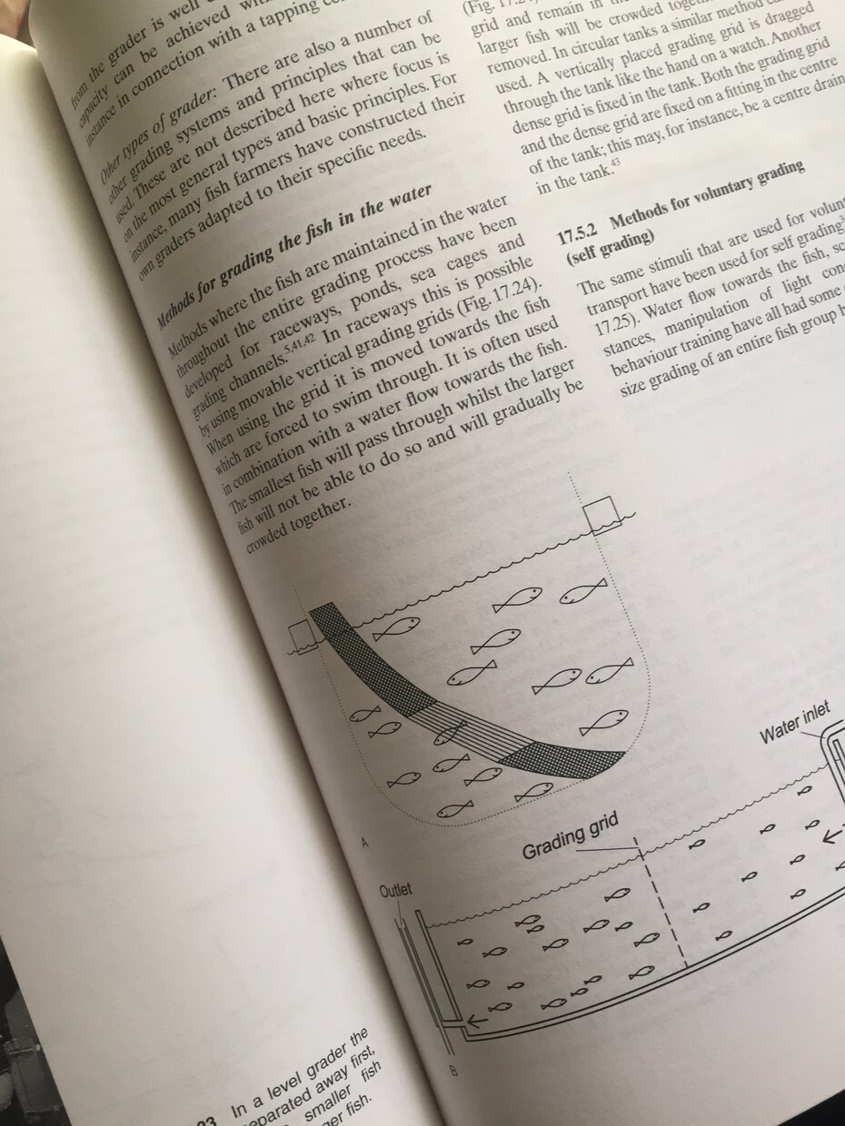 【専門用語英語翻訳】英語⇄日本語   農水海洋生物学 イメージ1