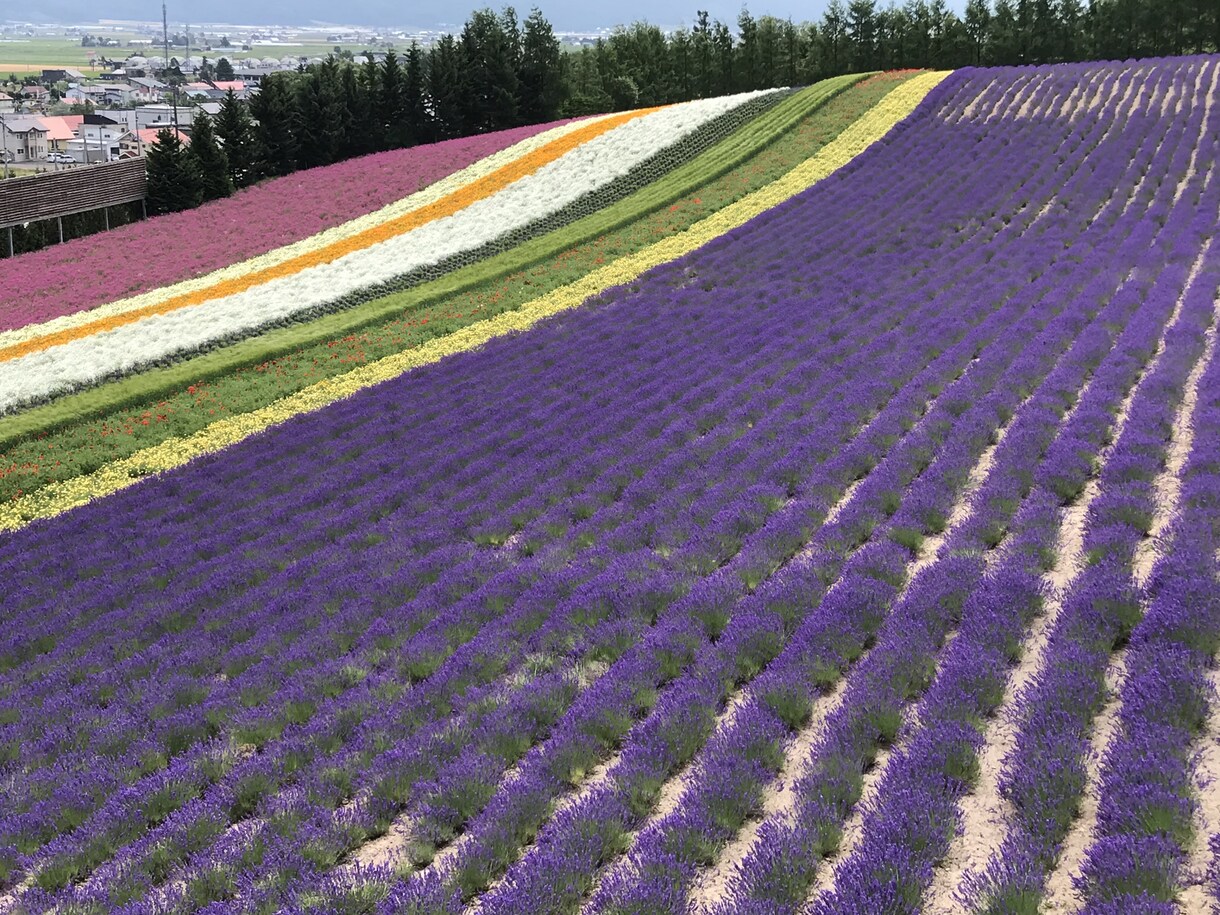 北海道の旅プランを作成します 北海道旅行でどこがお勧めなのか分からないけど満喫したい方！ イメージ4