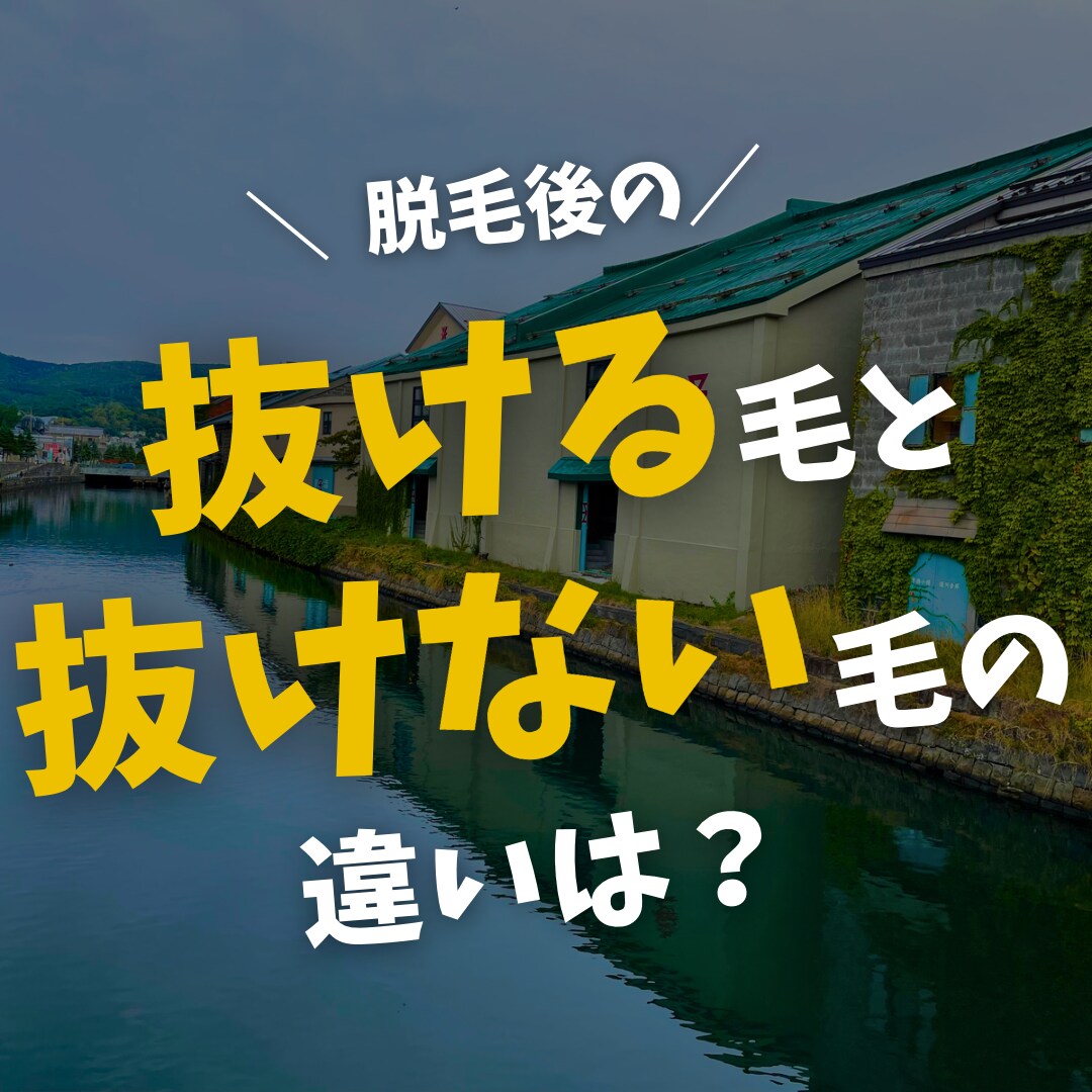 エステ脱毛、医療脱毛のお悩み相談乗ります 脱毛知識で知りたいこと疑問に思っていることお答えします。 イメージ6