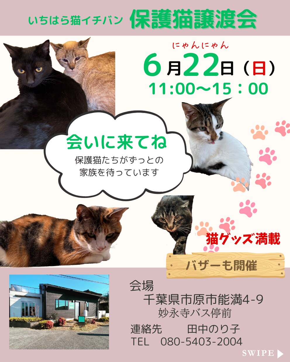 地域密着！保護猫イベントのチラシお作りします “会いに行きたい”と思ってもらえるデザインを。 イメージ3