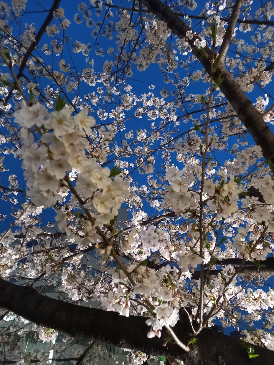 少しでもプラスになれるように非力ながら力になります 思いやりの少ない時代だからこそ、一人でも多くの人の力に。 イメージ4