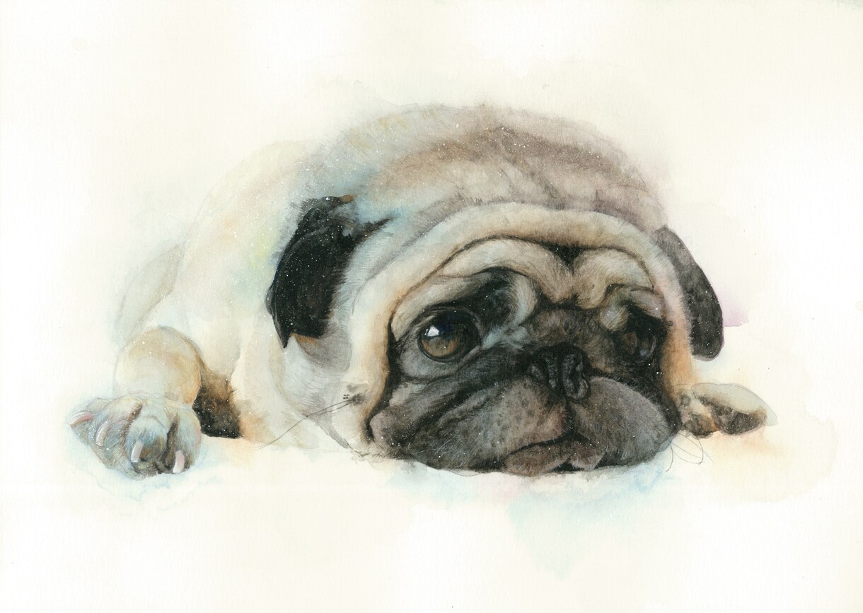 ふんわりやさしい水彩画でペットの似顔絵を描きます ｜インテリアやプレゼントに ｜犬・猫・小動物や鳥さんもOK♪ イメージ1