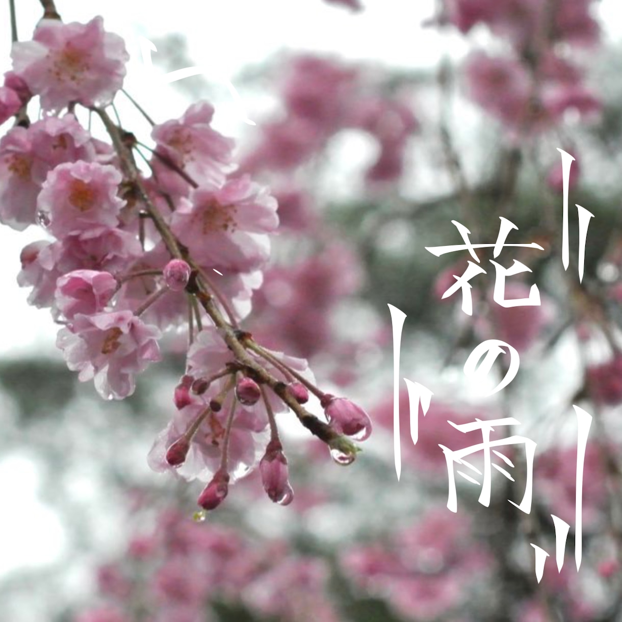 写真に手書きの文字入れます お好きな字(グラフィックも可)を好きな写真に入れます！ イメージ3