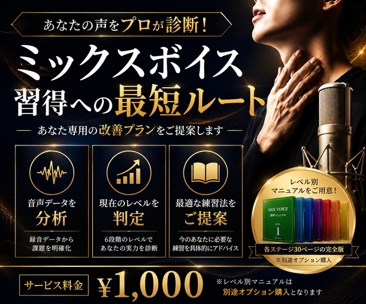 発声特訓！読んで実践！ミックスボイス習得させます プロがミックスボイスを習得に必要な知識を解説した資料を提案！ イメージ1