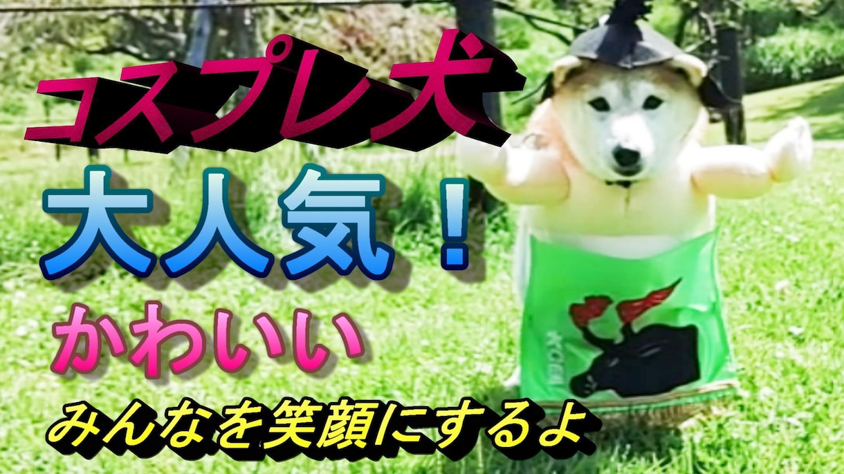 低価格で見映えする動画を編集いたします ご納得いくまで何度でも丁寧に動画編集致します。 イメージ2