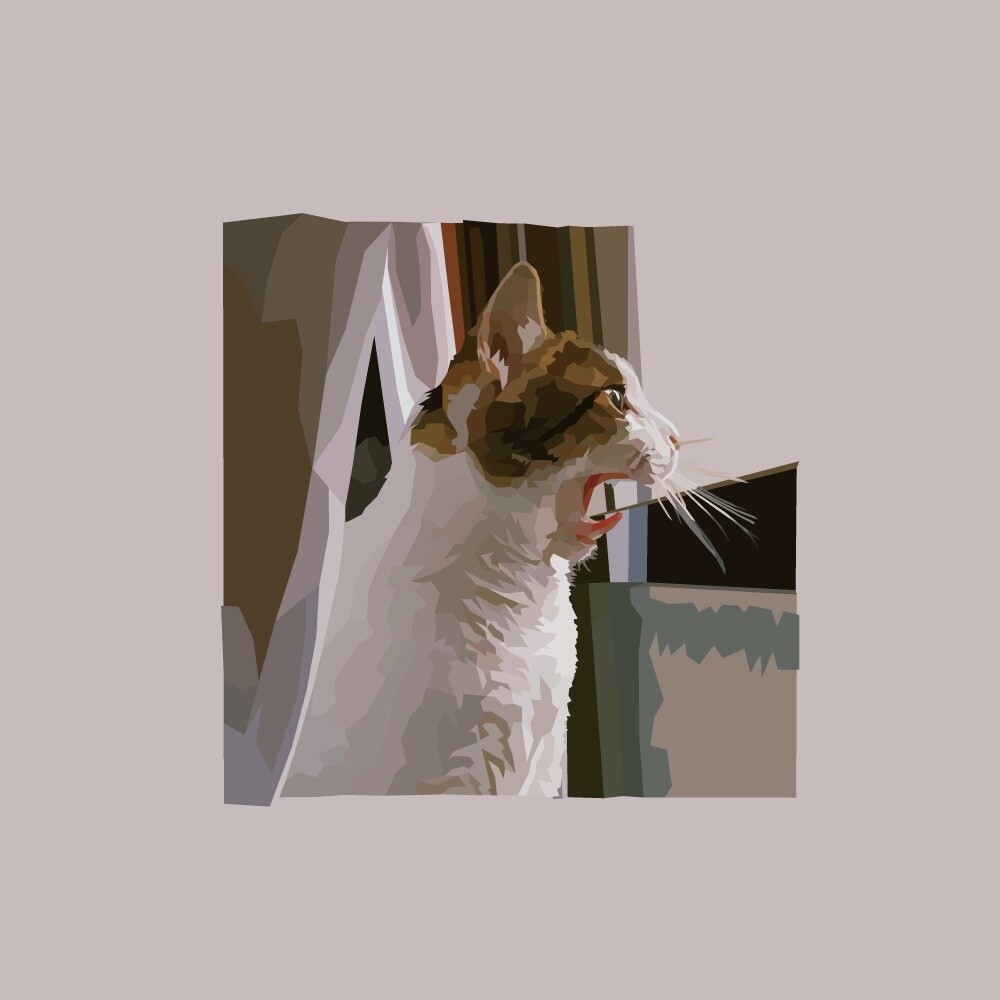 どんな写真でもイラストにします Illustratorを使って他にはないイラスト描きます。 イメージ1