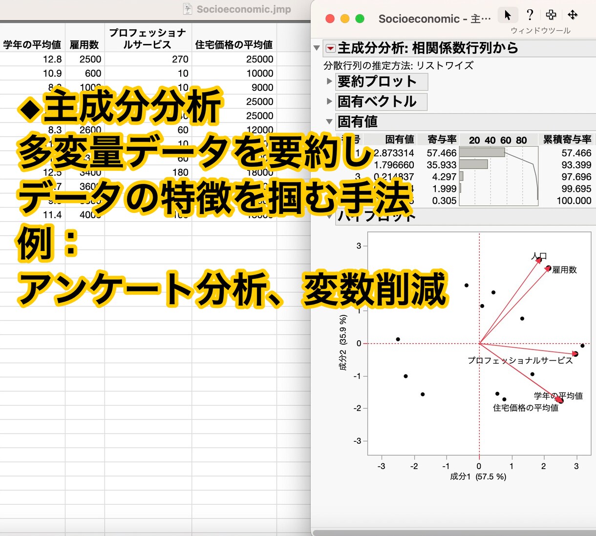 ココナラPROがデータ分析を支援し丁寧に解説します 高機能ソフトで的確かつ迅速に分析し初心者にも分かり易く解説！ イメージ4