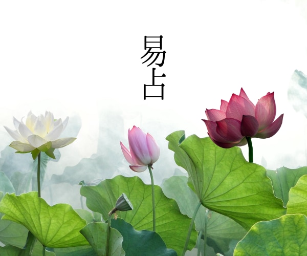 あなたにとっての『 縁起がいい日 』をお伝えします 人によって吉日は異なります。大安、天赦日などではダメです。 イメージ4